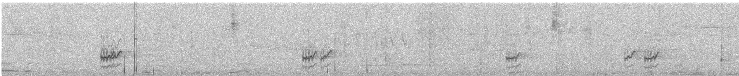 Barred Parakeet - ML643329067