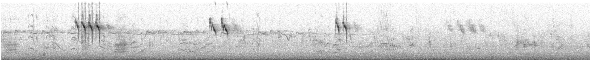 נחליאלי זנבתן - ML643332491