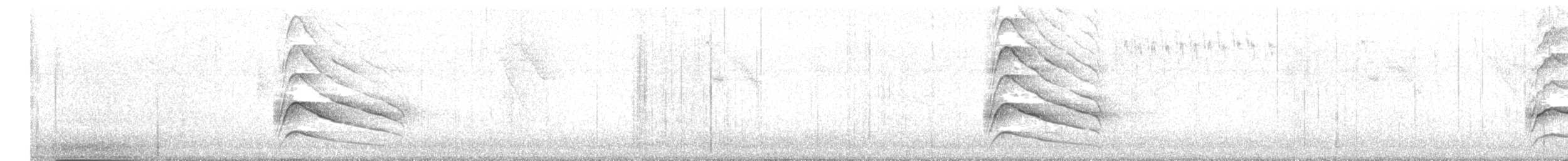 Buse à gros bec - ML643332751