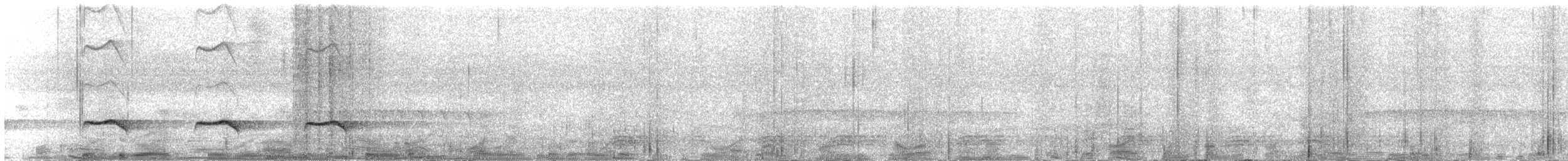 Sahul Brush Cuckoo - ML643332939