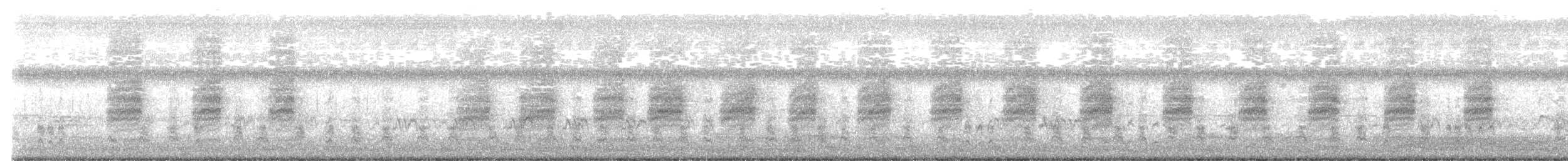 stentorsanger - ML643334363