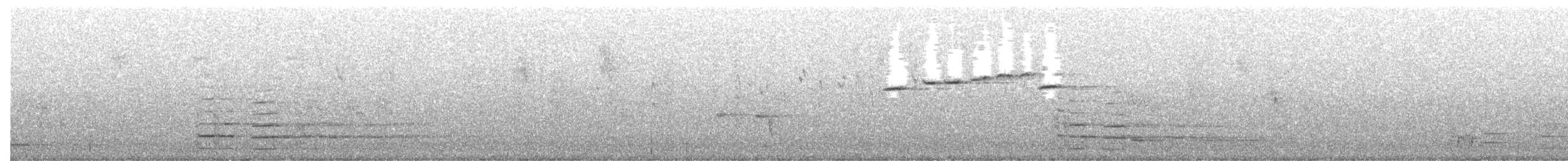 Black Currawong - ML643334915