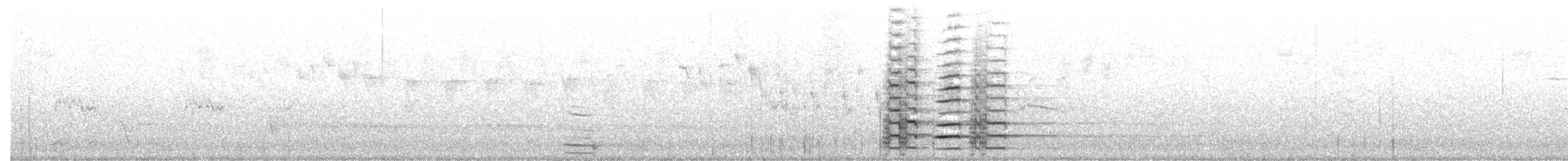 Black Currawong - ML643334916