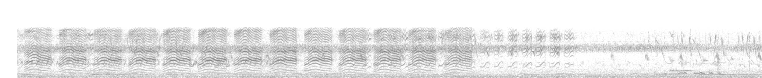 gråskriketrost - ML643335103
