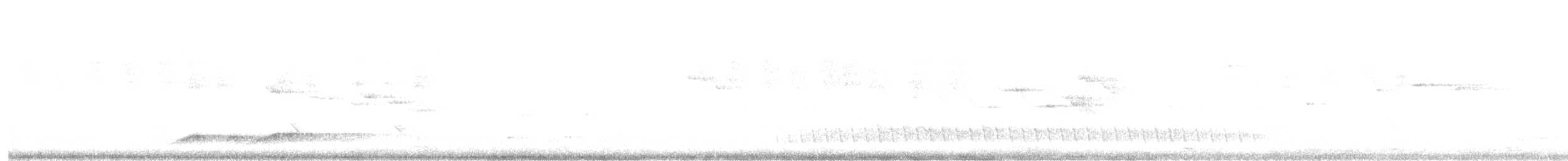 Noisy Pitta - ML643335973