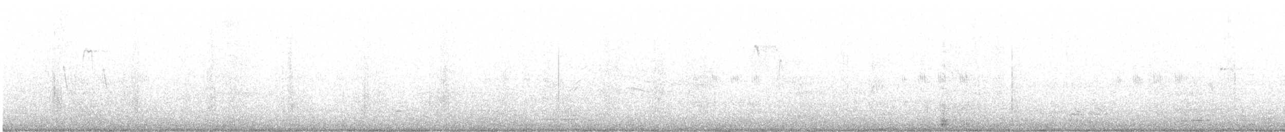 Китайская сорока - ML643336707
