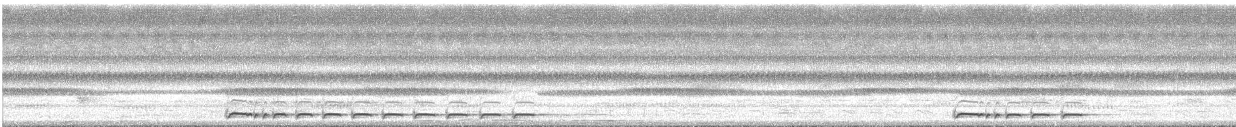 sebradue - ML643336950