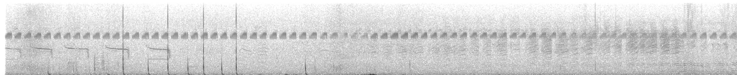 Zebraamadine - ML643338088