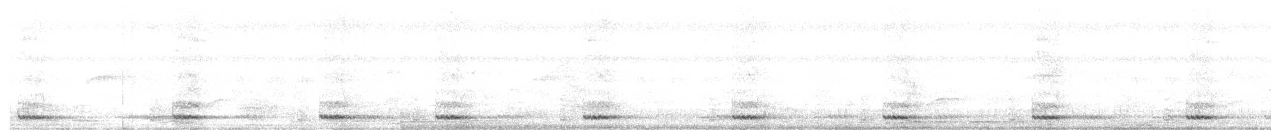 White-cheeked Barbet - ML643338276