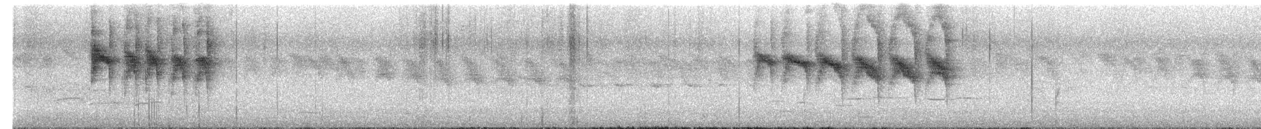 Mohoua à tête blanche - ML643338284