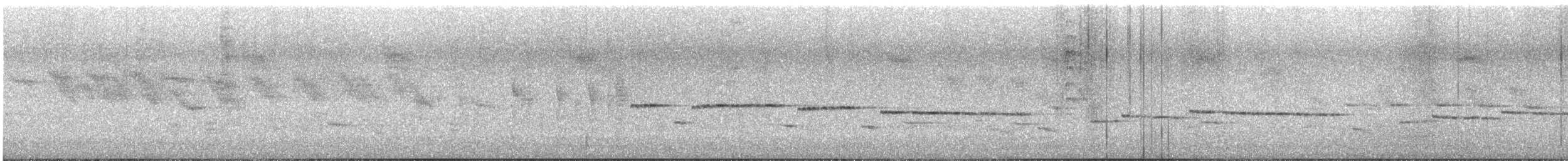 Gray Gerygone - ML643338382