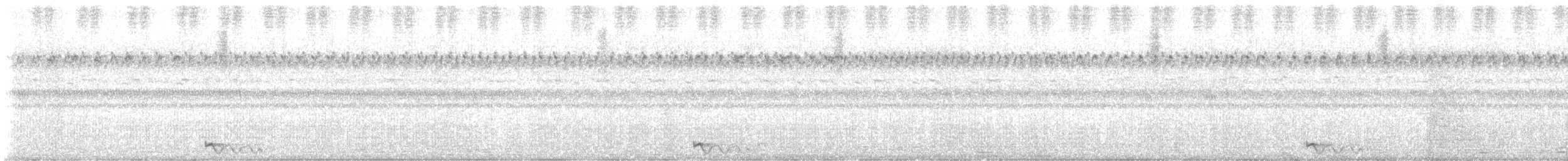 Jerdon's Nightjar - ML643338910