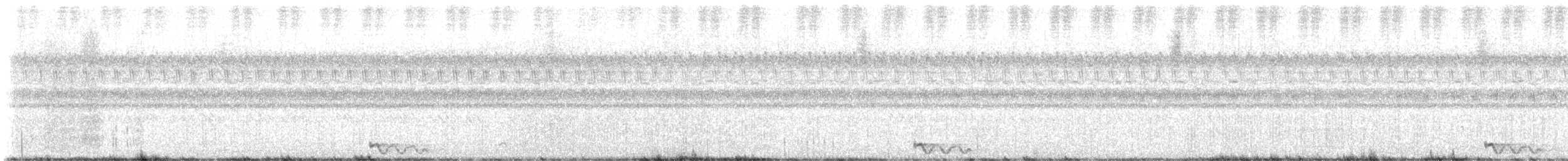 Jerdon's Nightjar - ML643338941
