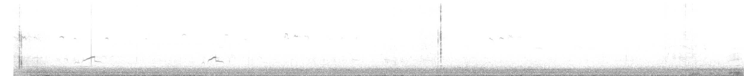 Pacific Golden-Plover - ML643339589