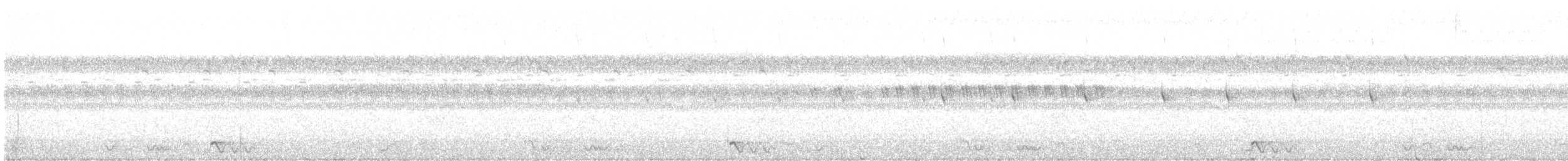 Jerdon's Nightjar - ML643339765