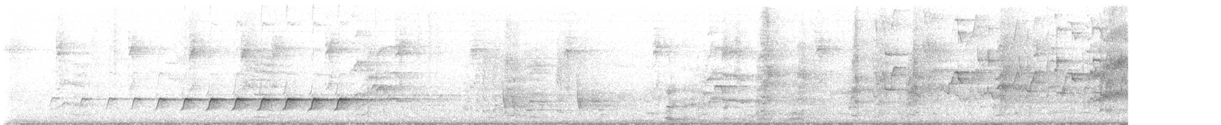 Échelet leucophée - ML643339900
