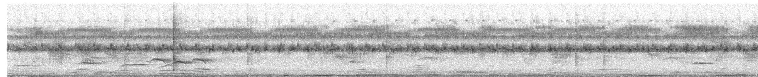 Abbott's Babbler - ML643340866