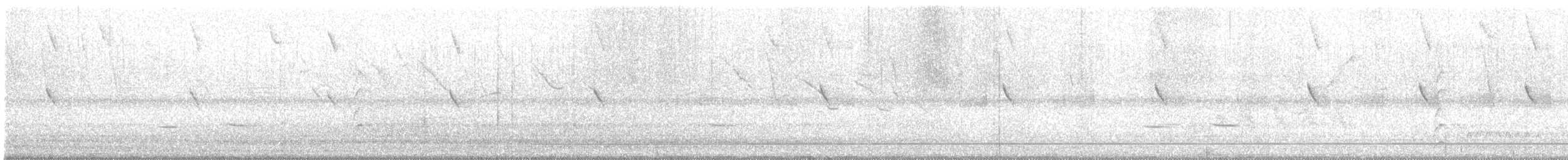 Stripe-breasted Starthroat - ML643341915