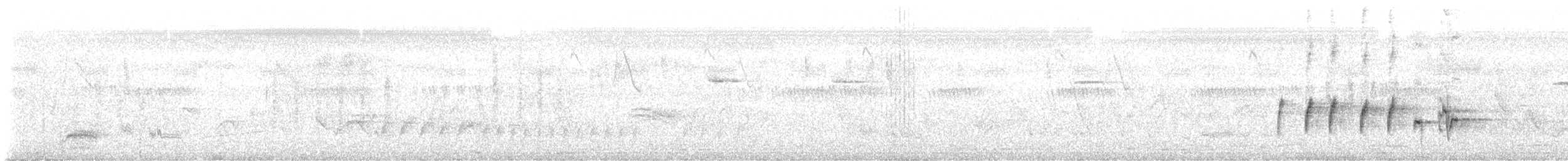 Txioa sp. - ML643344225