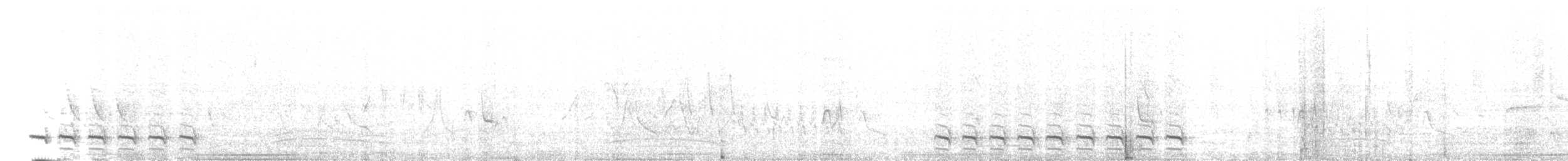 Variable Antshrike - ML643345445