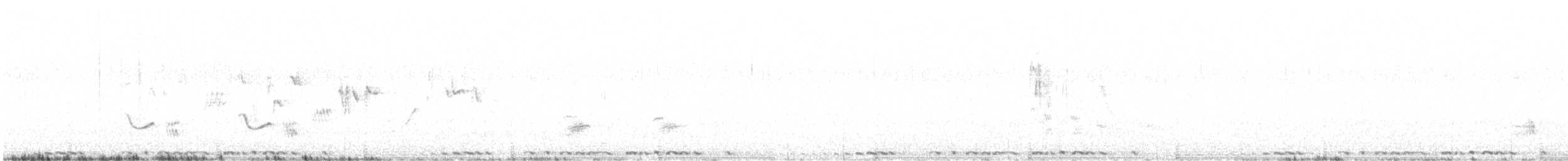 Хар хур - ML643346280