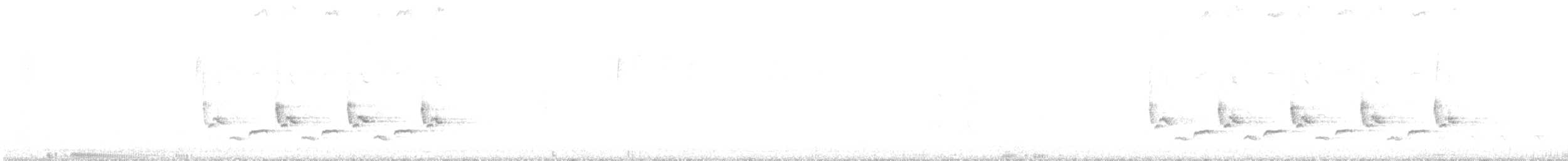 Carolina Wren - ML643346915