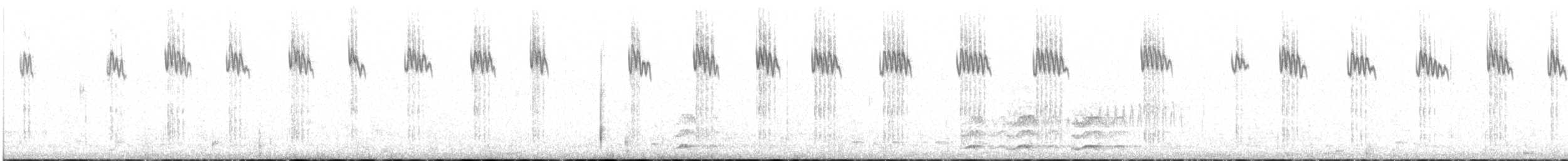 Buff-winged Cinclodes - ML643347100
