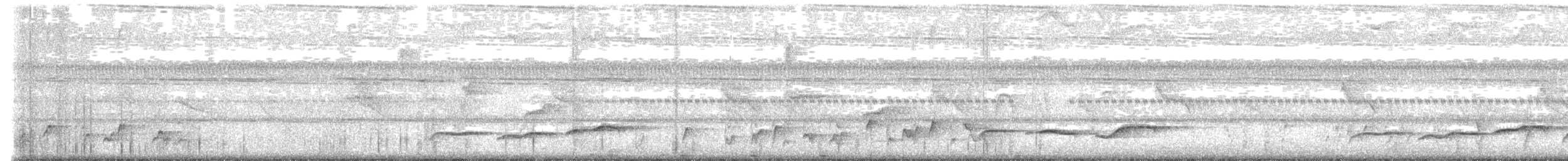 Abbott's Babbler - ML643348466