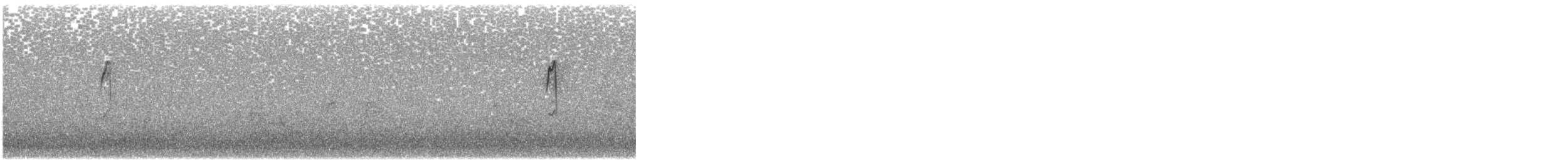 Meadow Pipit - ML643348573