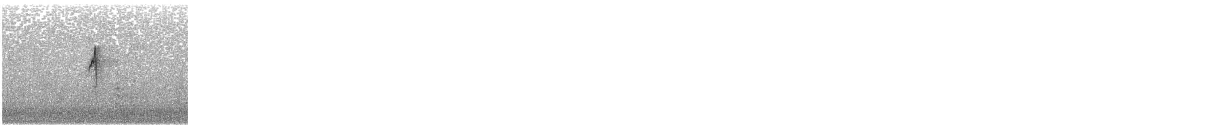 Meadow Pipit - ML643348575