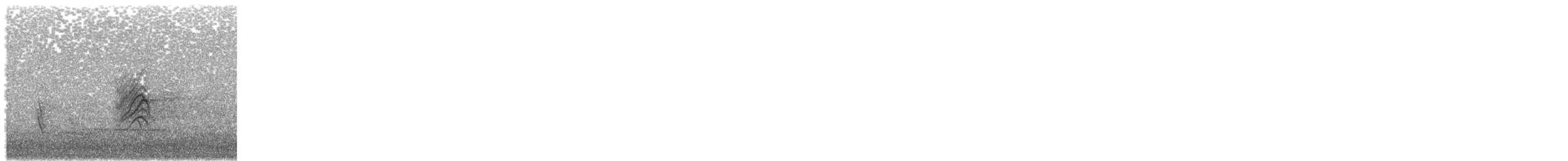 Brambling - ML643348576