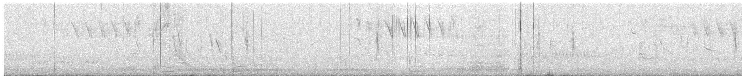 Sturnelle à sourcils blancs - ML643348945