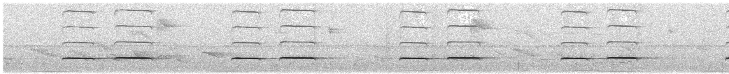 Pavonine Cuckoo - ML643348999