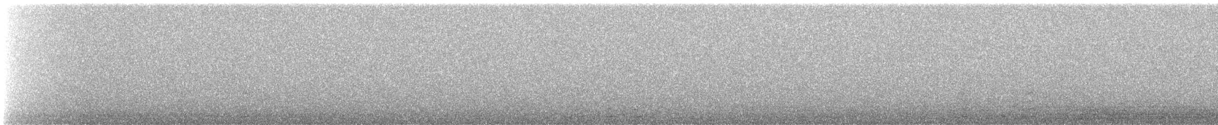 Whooper Swan - ML643349502