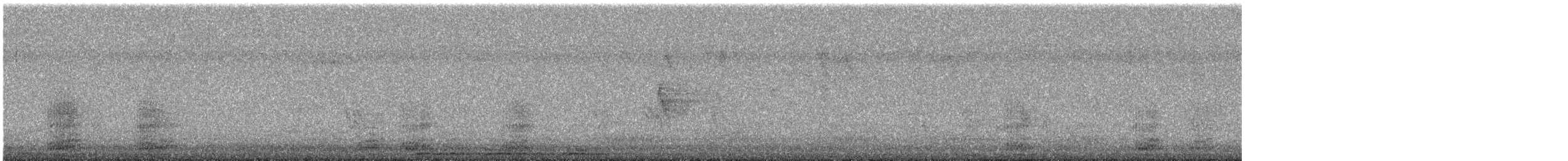 Common Raven - ML643349573