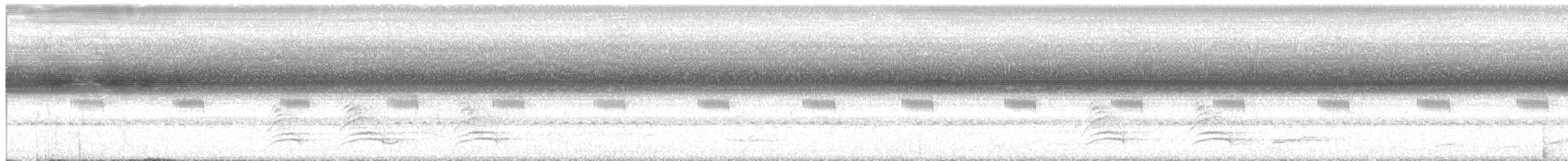 White-necked Thrush - ML643349741