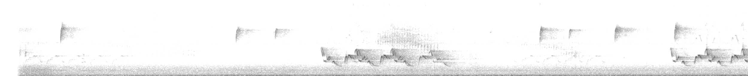 Carolina Wren - ML643349779