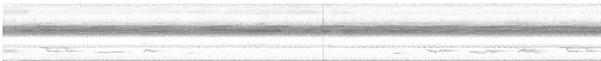 White-necked Thrush - ML643349844