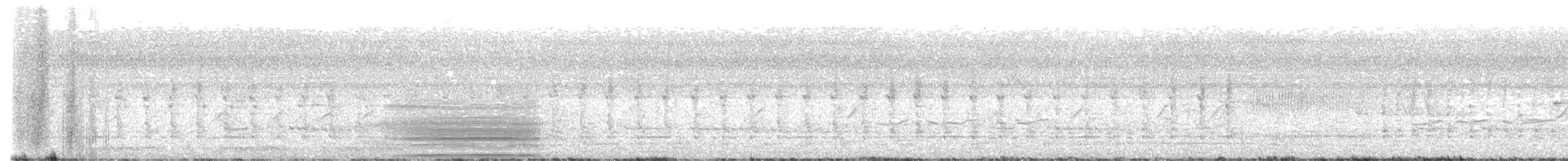turako Schalowův - ML643350151