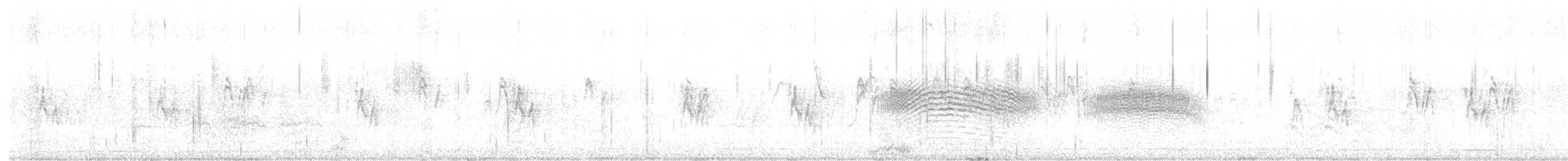 White-tipped Plantcutter - ML643350348