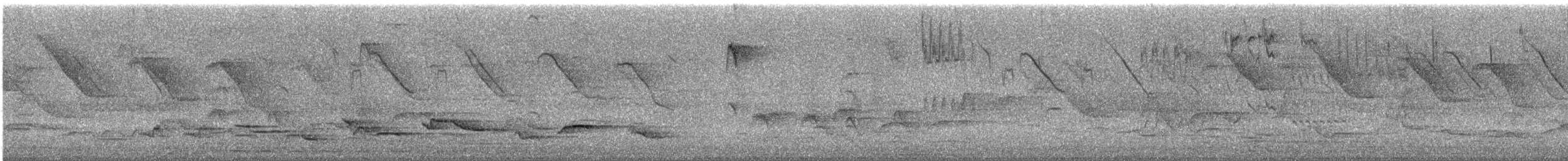 Rufous-bellied Thrush - ML643350382