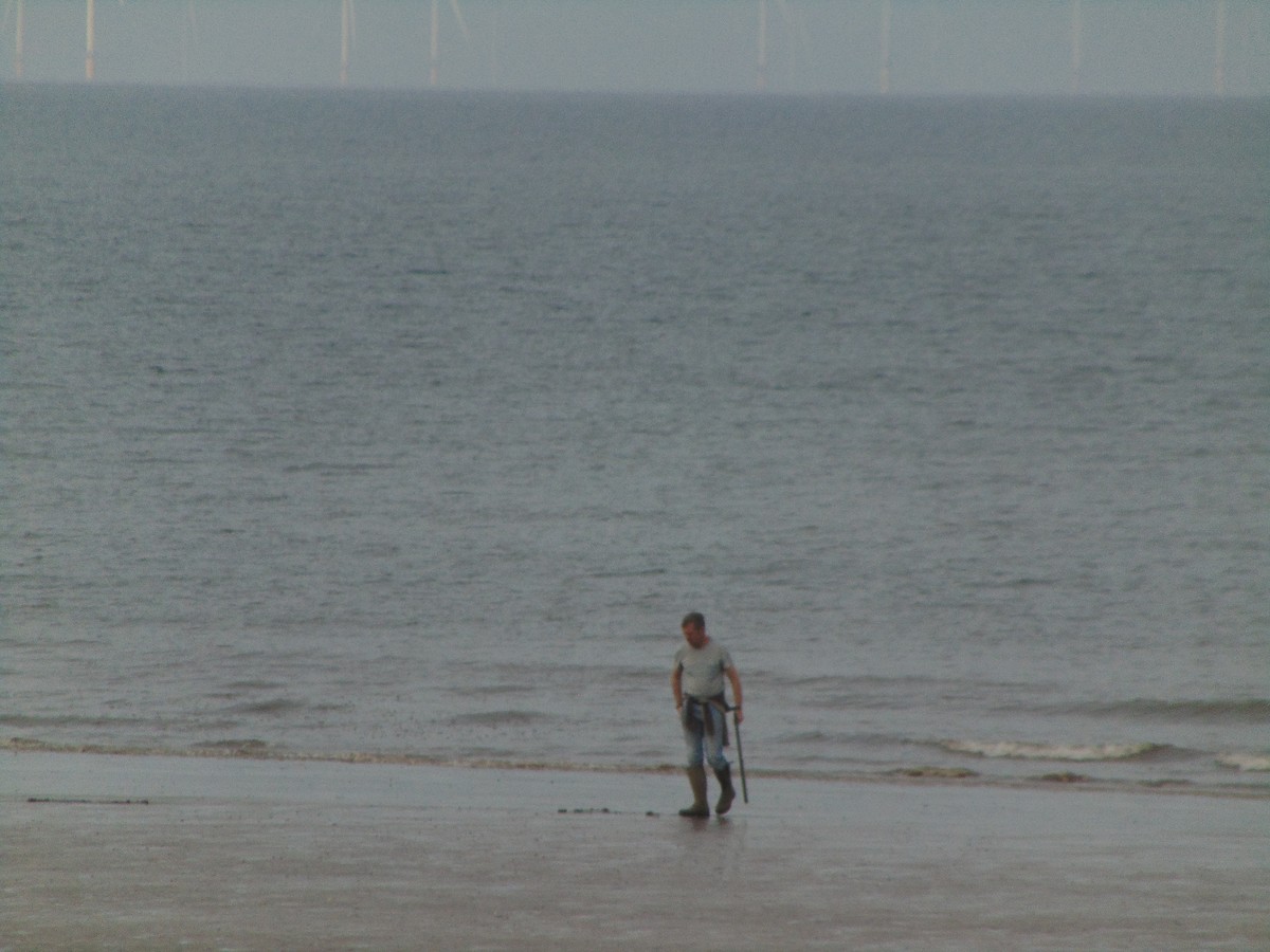 Grèbe jougris - ML643350419