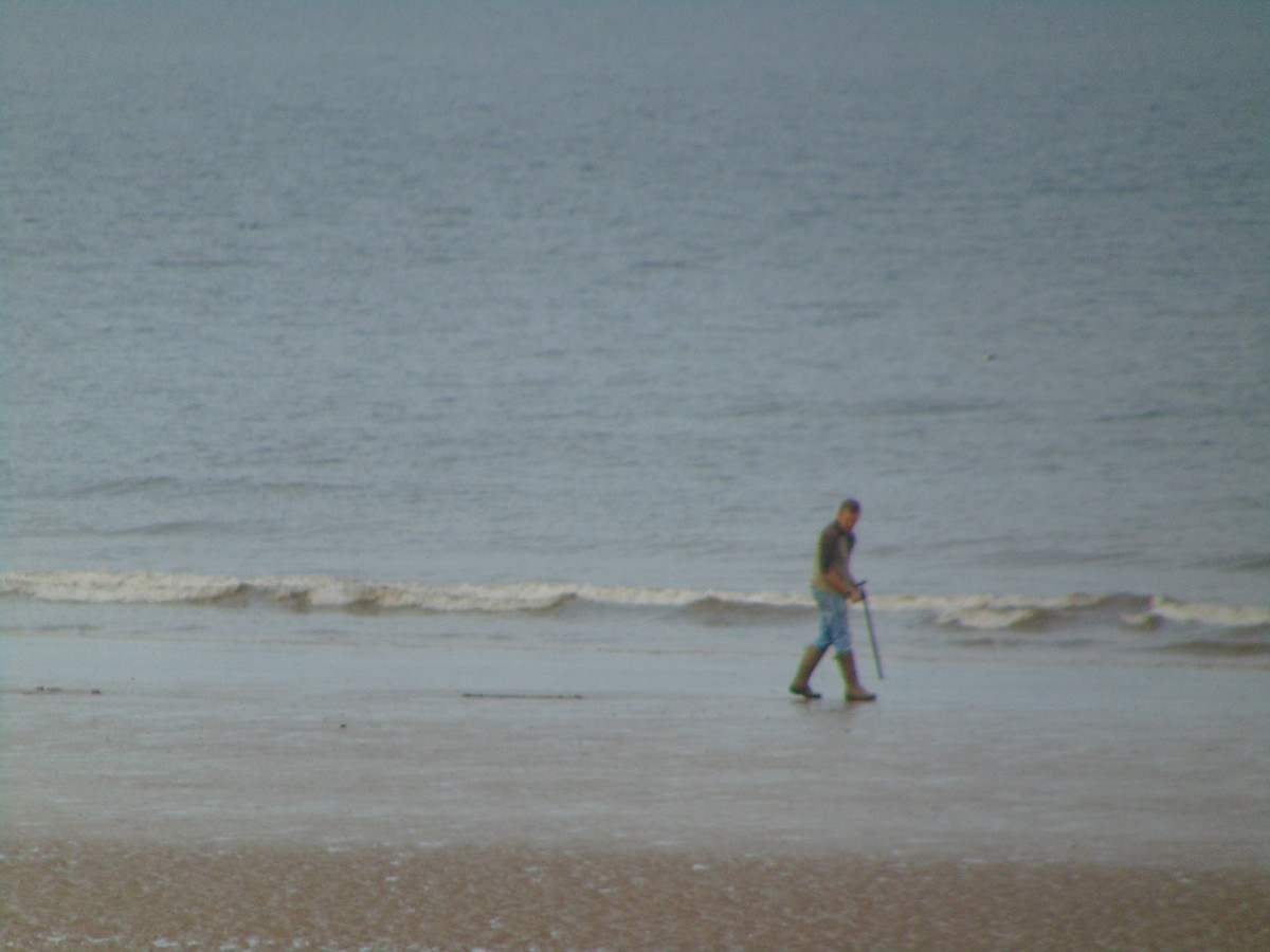 Grèbe jougris - ML643350428