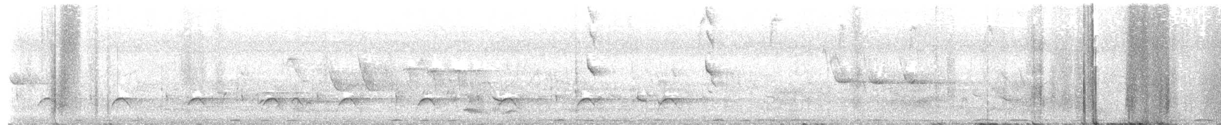 Black-backed Puffback - ML643350644
