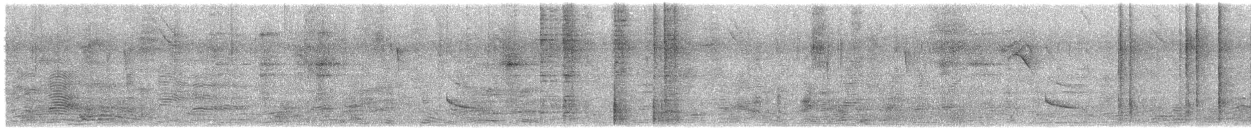 Large Elaenia - ML643352338