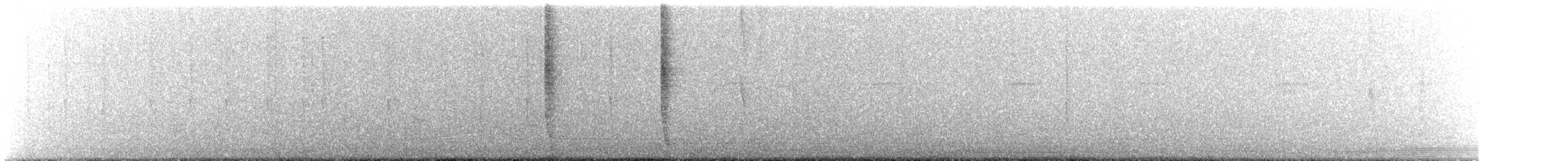 Амазилія-берил синьохвоста - ML643354149