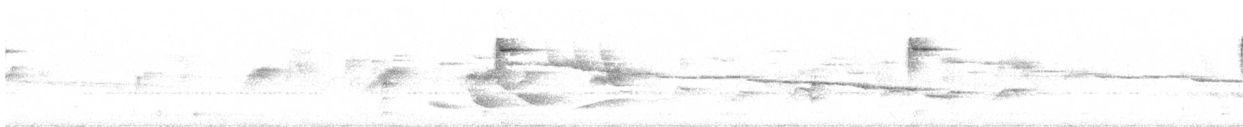 White-browed Warbler - ML643354289