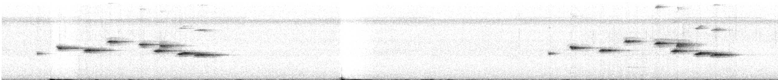 White-throated Fantail - ML643356125