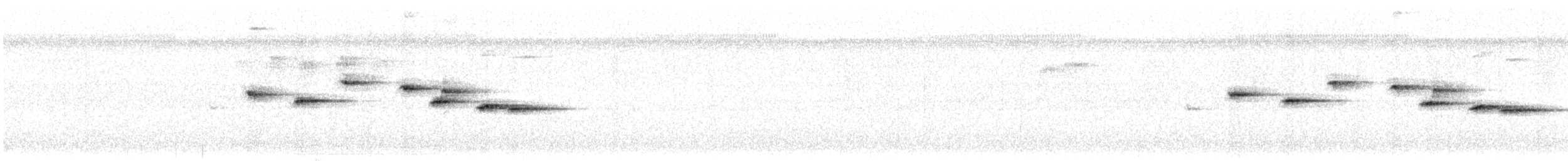 White-throated Fantail - ML643356126