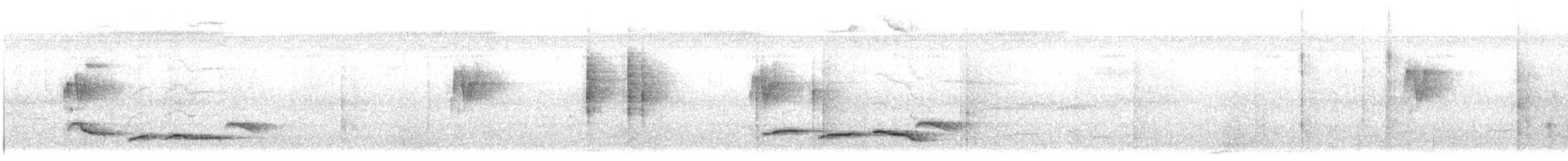 Abbott's Babbler - ML643356467